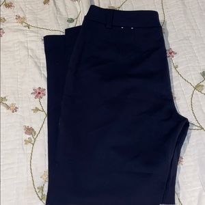 🙇‍♀️Anne klein blue skinny ankle pant